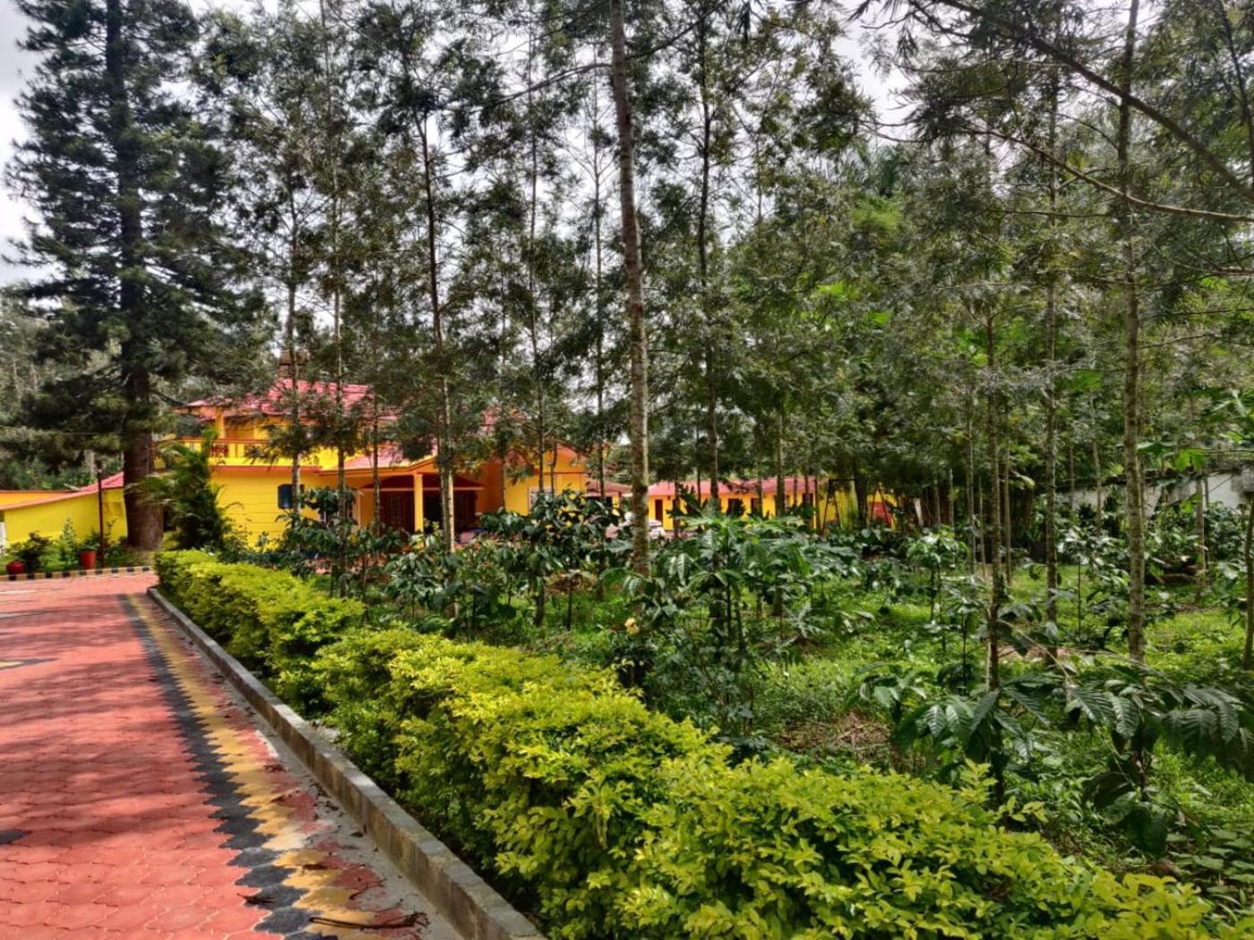 Coffeebean Villa - Unwind & Rejuvenate Sakleshpur Exteriör bild